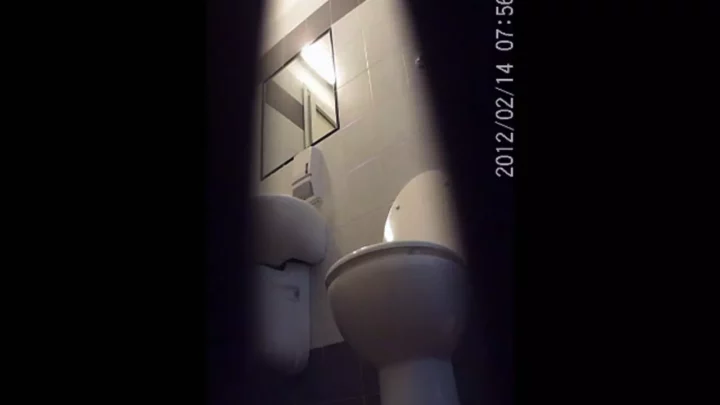 イタリアの公衆トイレで繰り広げられる密かな欲望 のスクリーンショット 1