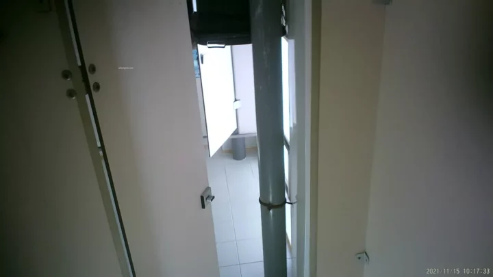 Screenshot 2 from 【盗撮】中国トイレで大胆ハプニング！隠しカメラが捉えた決定的瞬間