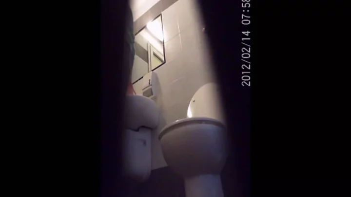 イタリアの公衆トイレで繰り広げられる密かな欲望 のスクリーンショット 2