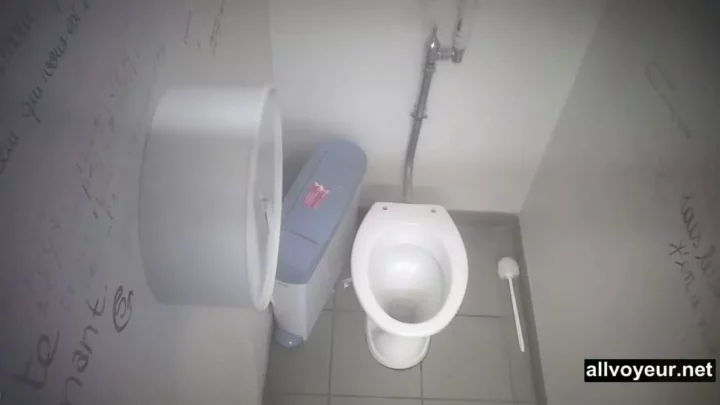 隠し撮り!フランス美人トイレの秘密 のスクリーンショット 2