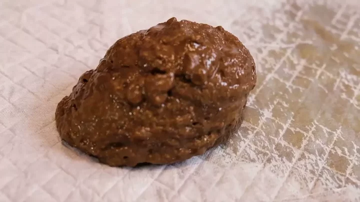 虎の大腸爆裂!衝撃の巨大排泄フェティシズム のスクリーンショット 3