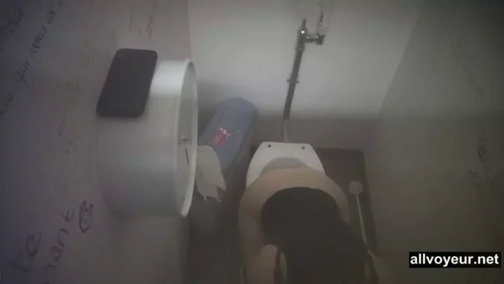 隠し撮り!フランス美人トイレの秘密 のスクリーンショット 3