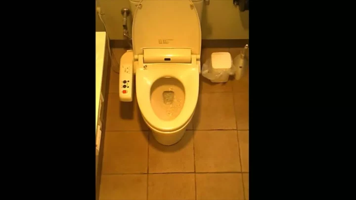 デパートの隠し撮り：女性用トイレで繰り広げられる秘密 のスクリーンショット 3