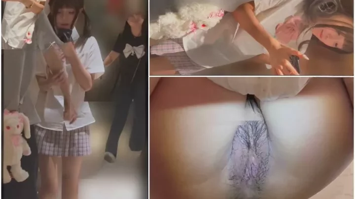 女子トイレの隠し撮り！ツインテールJKの決定的瞬間