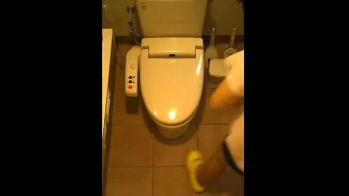 Screenshot 5 from VIPトイレ盗撮！まさかの“う〇こカスOB”に仰天！