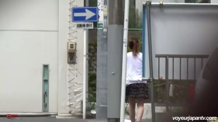 Screenshot 2 from 覗き見！トイレで繰り広げられるひそかな誘惑