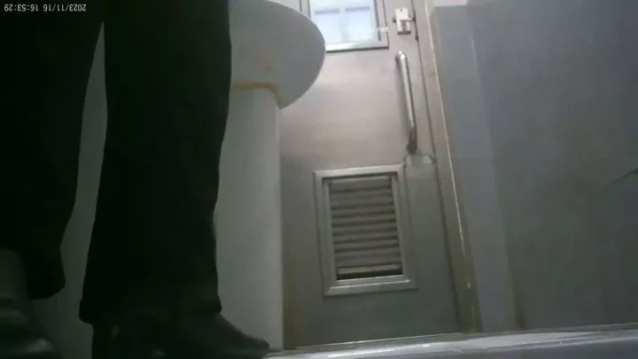 Screenshot 3 from 中国の公園トイレで盗撮！ハメ撮りされる美熟女たち