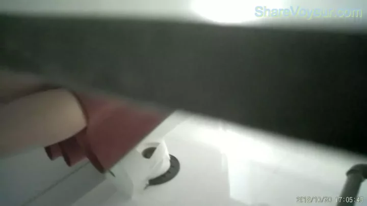 Screenshot 4 from 欲望を覗き見…中国人女性のトイレ盗撮10連発!
