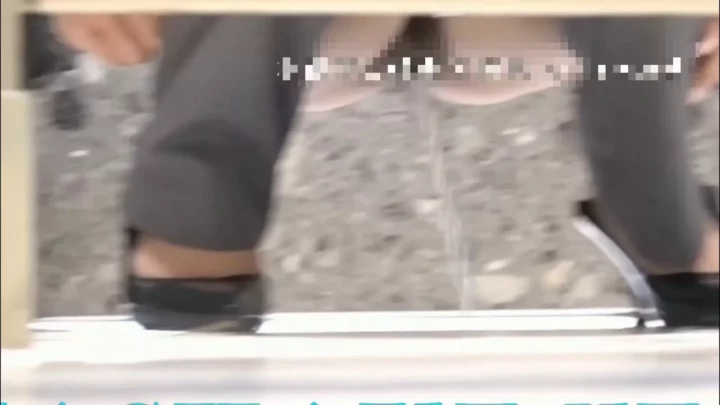 中国の公衆トイレで盗撮!ハメ撮りされた美尻 のスクリーンショット 1
