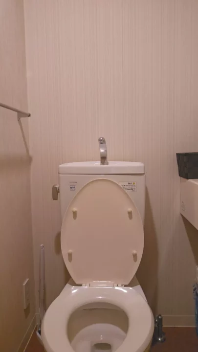 正面アングルで覗くトイレの秘密、4Kで鮮明に のスクリーンショット 2