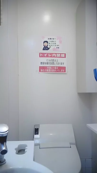 【盗撮】美人モデルのトイレ姿にドキドキ! のスクリーンショット 3