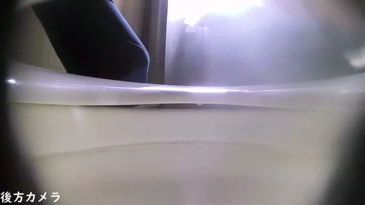 山奥の公衆トイレに隠しカメラ！衝撃の2カメ映像 のスクリーンショット 1